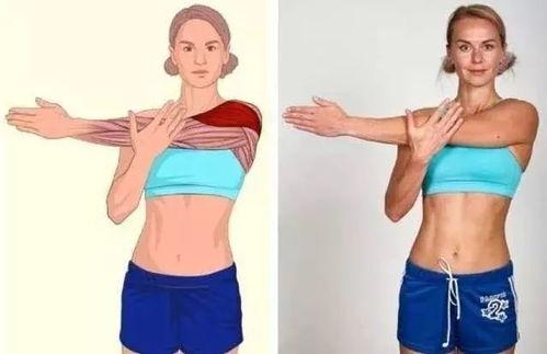 拉筋视频教程全集,全方位拉伸运动技巧解析